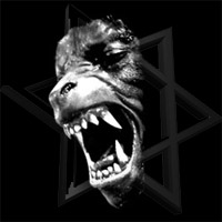 O`Z Anjo Da Noite Logo