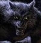 Gawain of The Night Logo