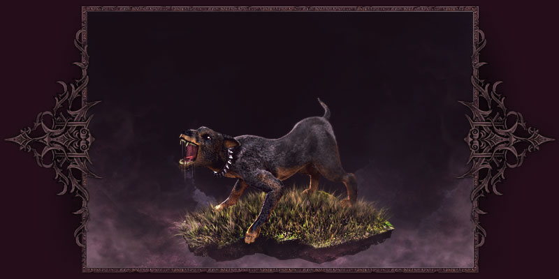 Cão de Caça Raivoso